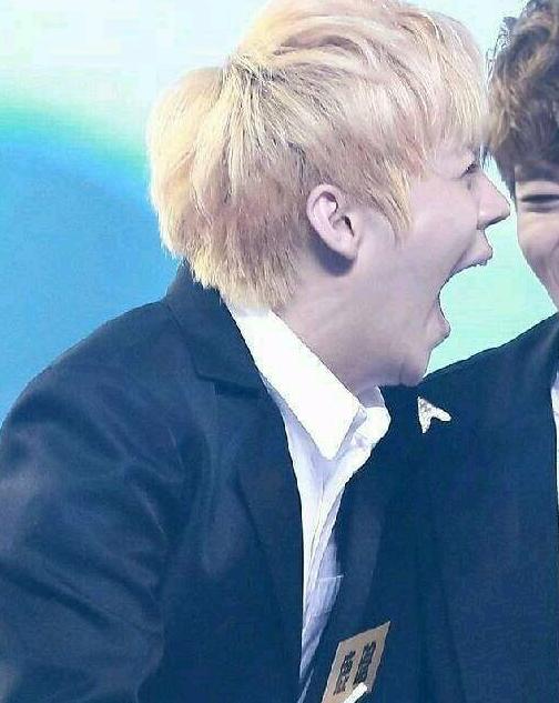 明星最想删掉的图片有哪些,明星十大最想销毁照片