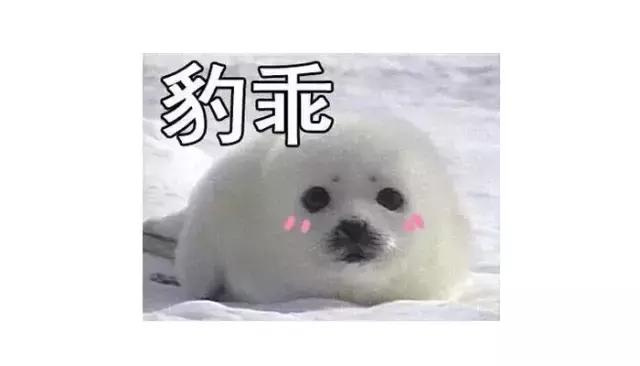 拔草贴真的不好用吗,拔草贴真的有用吗