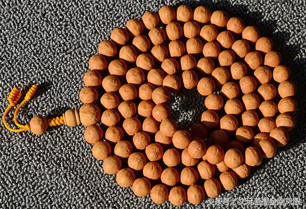 凤眼菩提是啥树,凤眼菩提是什么植物的果实