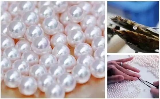 akoya海水珍珠是日本的吗,日本海水akoya珍珠
