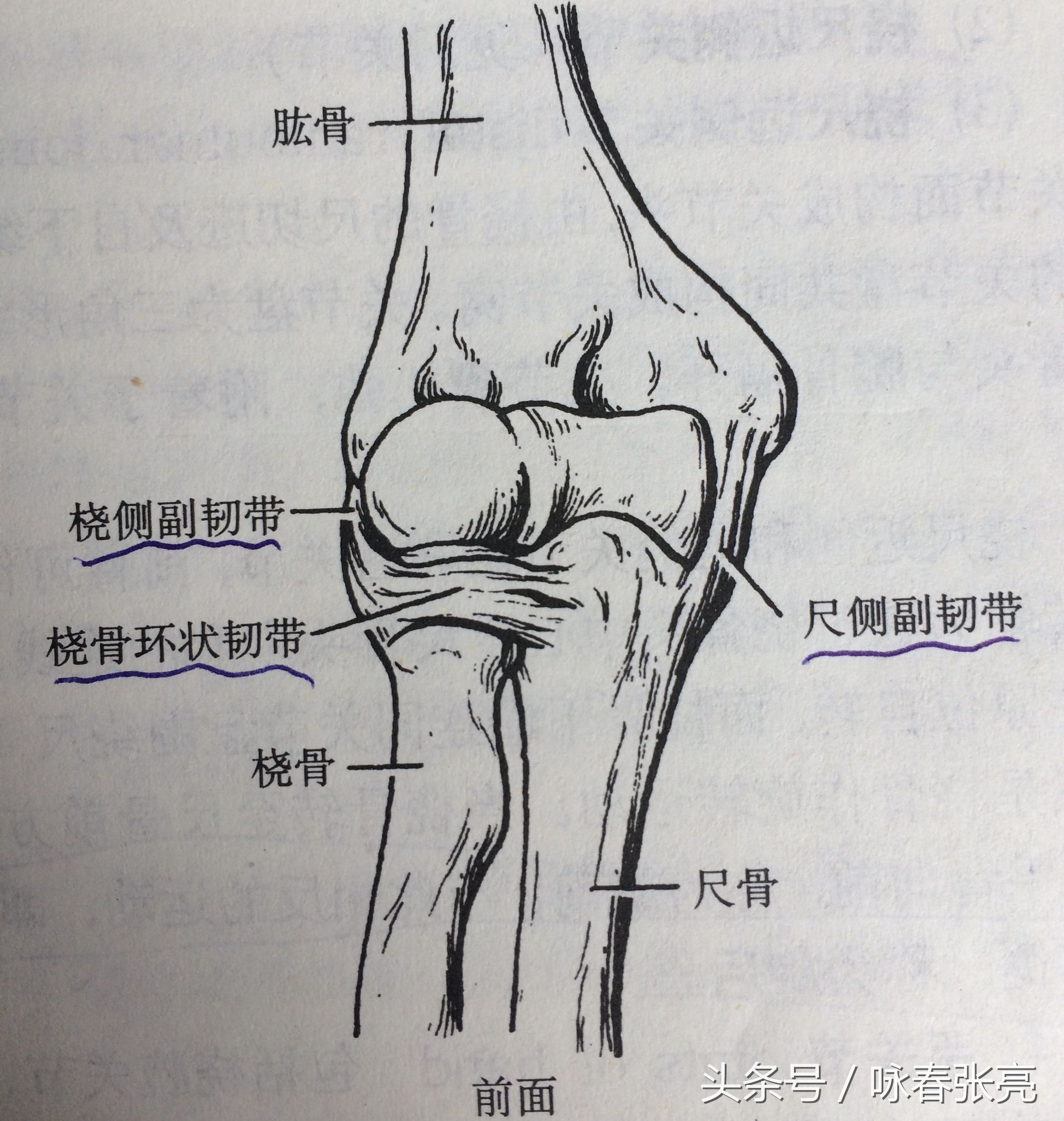 如何修炼咏春拳内劲,咏春拳的杀伤力在哪