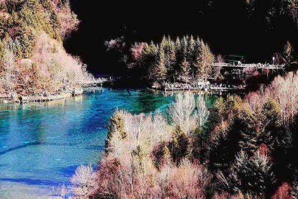 九寨沟的冬天是一幅精美的水墨画,冬天五彩池九寨沟