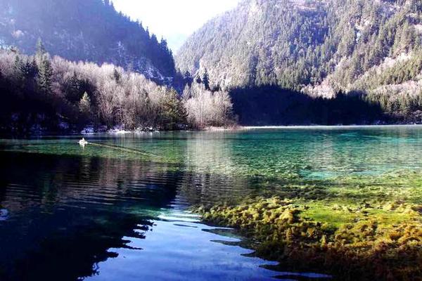 九寨沟的冬天是一幅精美的水墨画,冬天五彩池九寨沟