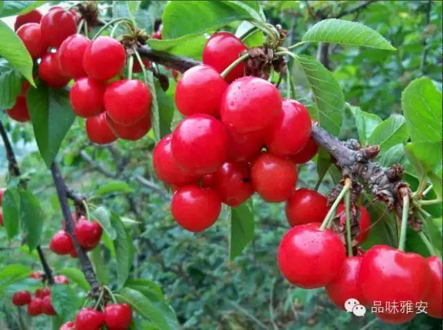 品味雅安丨大美雅西秘境汉源