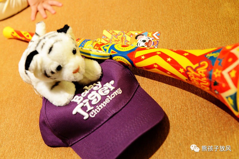 旅游攻略广州长隆野生动物园,游玩广州长隆野生动物园攻略