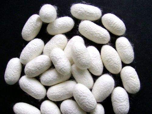 蚕丝面膜和天丝膜布哪个好,蚕丝面膜跟玻尿酸面膜哪个更好