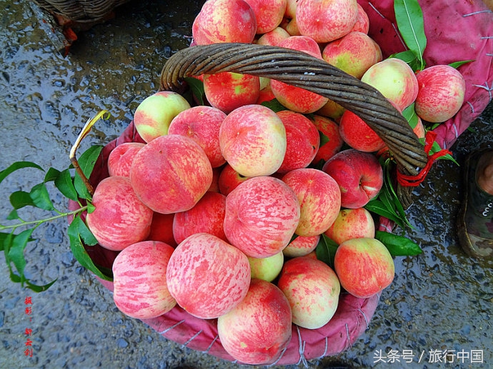 一年一度的蟠桃大会哪里有,王屋山蟠桃盛会