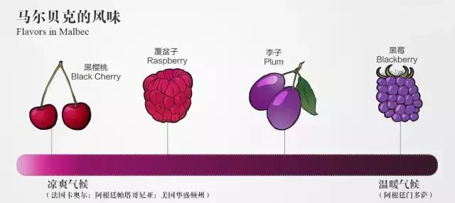 姓马的有什么故事,姓氏马的背后故事