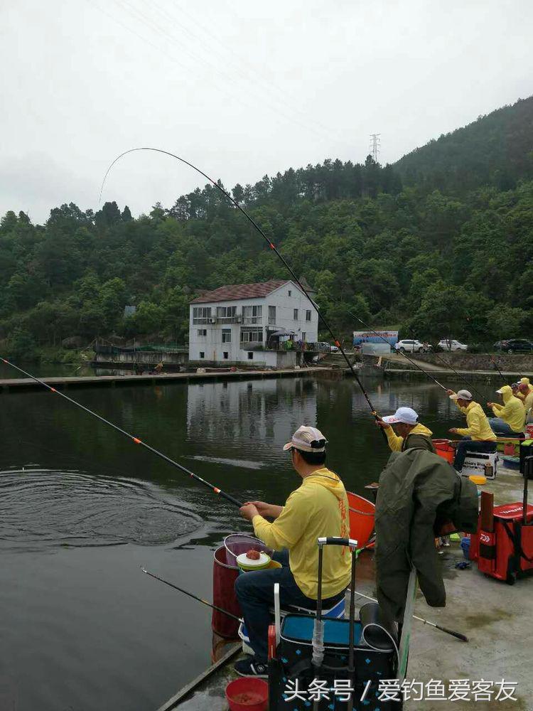 娴呭鑺姵缇庢枃,娴呭鑺姵