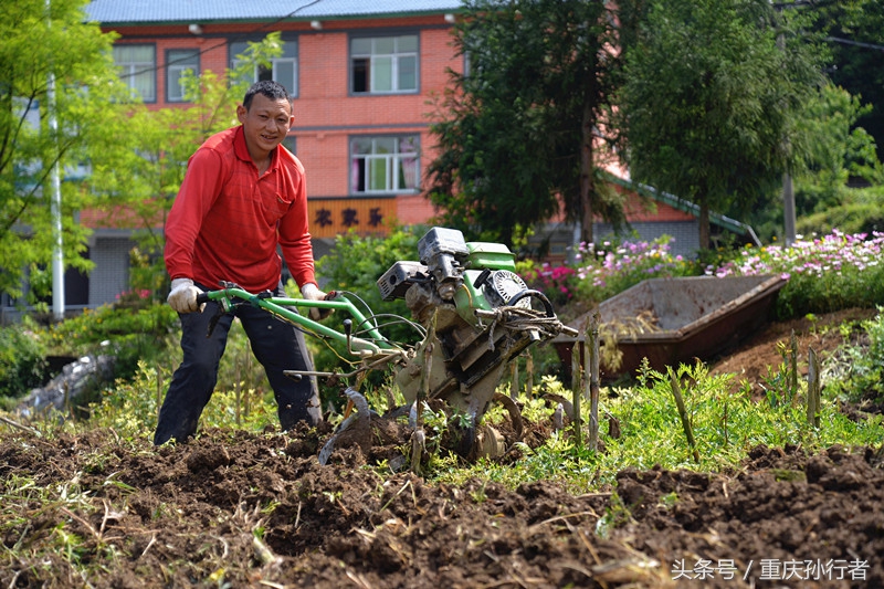 綦江花坝：以花为媒村民吃上旅游饭