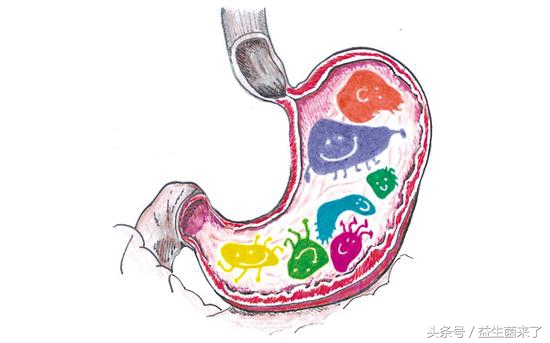 胃胀气，消化不良怎么办？做到这3点肠胃健康，吃得开心！