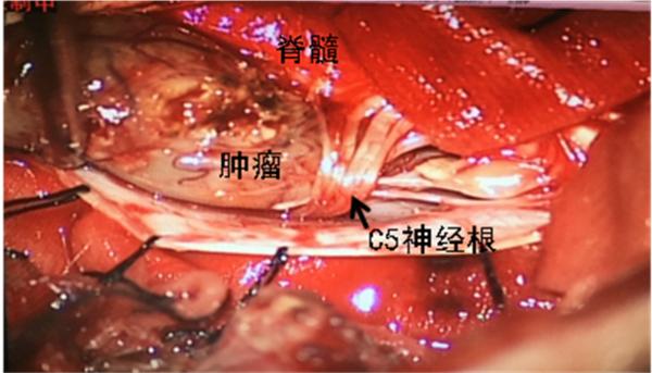 狐大医怎么样,狐大医