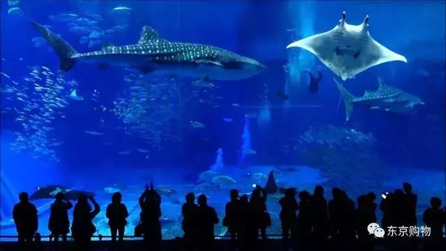 现在日本还有冲绳三年签吗,冲绳还能去吗