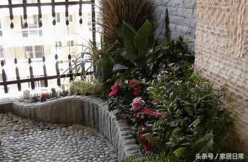 阳台养绿植有风水禁忌吗,阳台养绿植多了会不会影响风水