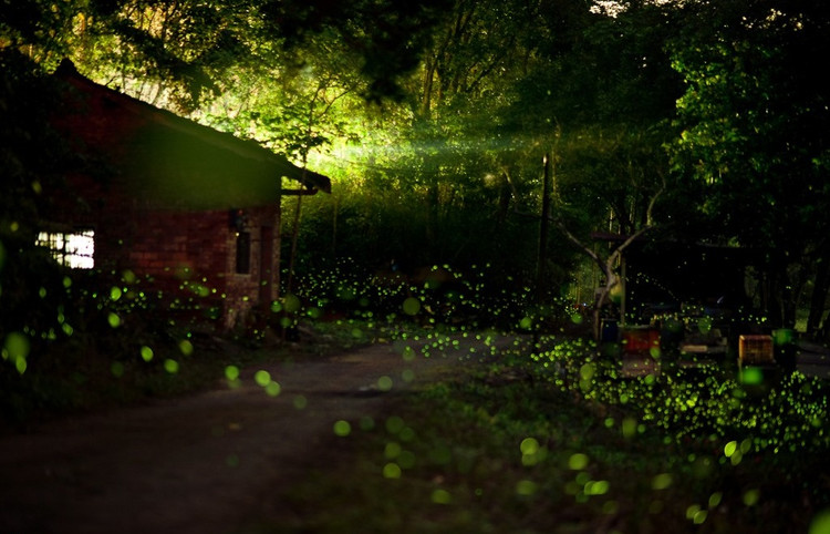 书单推荐提升思想深度的100本书,最值得看的二十本书书单