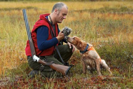 纠正狗狗乱捡东西视频,狗狗坏习惯纠正从哪一步开始
