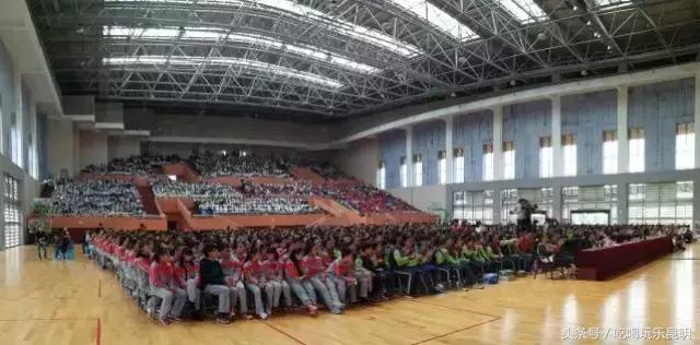 再见了龙狮城,再见了八年级