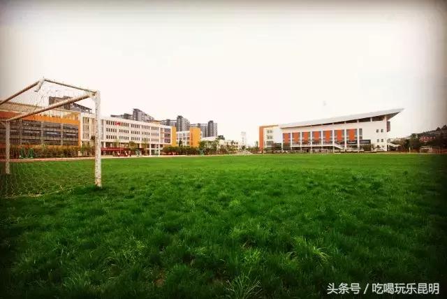 再见了龙狮城,再见了八年级