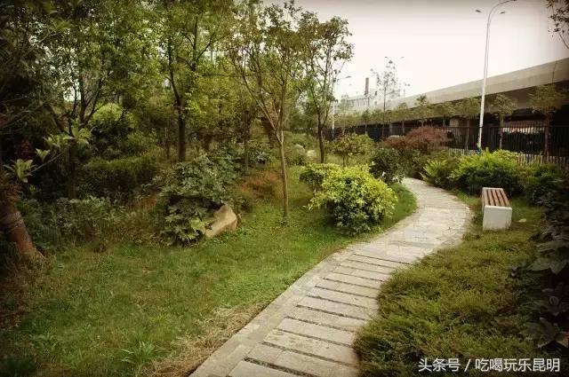 再见了龙狮城,再见了八年级