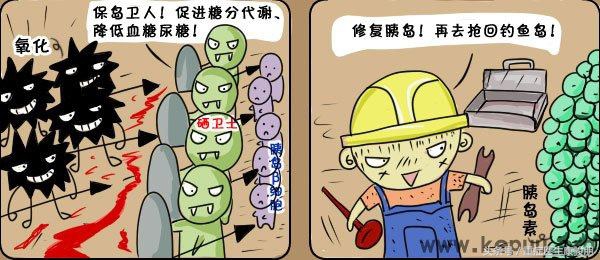 哈佛研究少食长寿,为什么中国人吃米饭容易得糖尿病