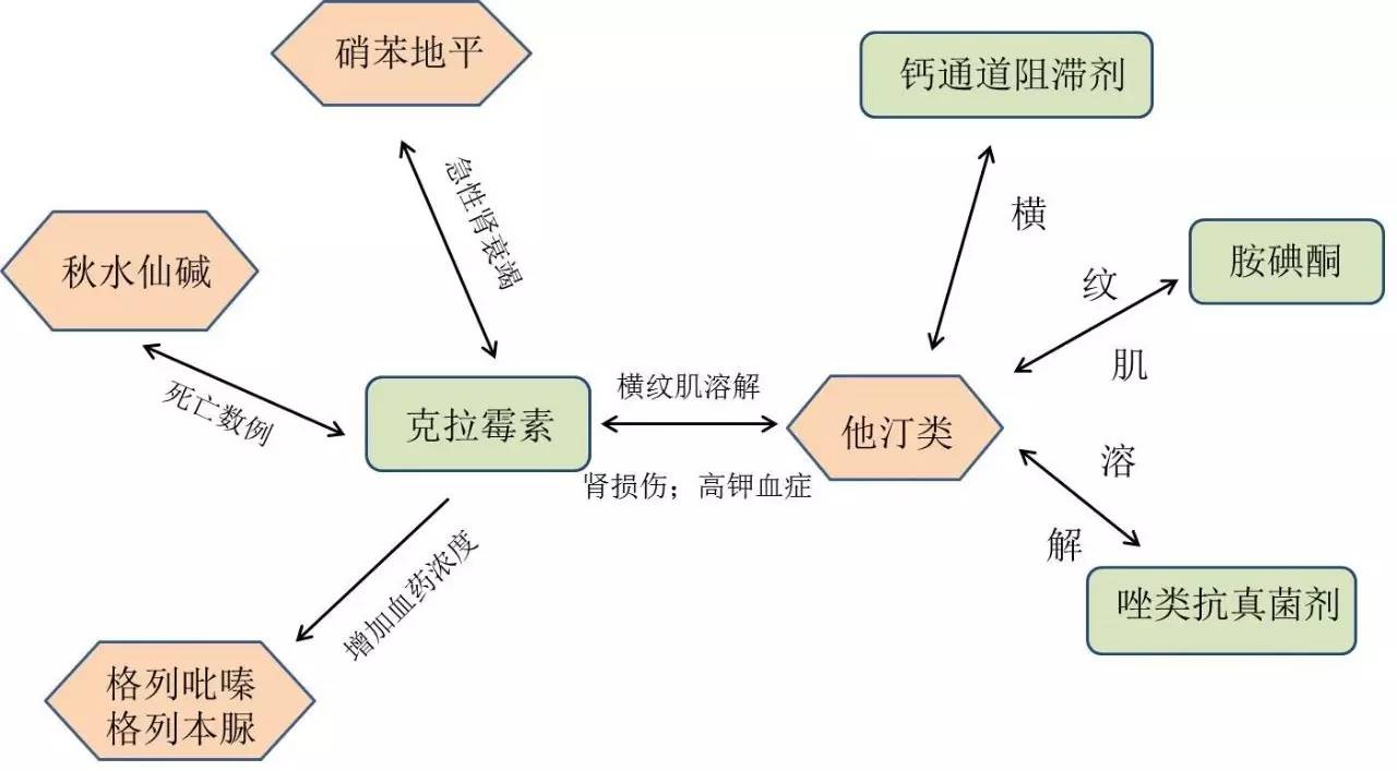 阿莫西林和克拉霉素可以合用吗,克拉霉素避免与什么药同服