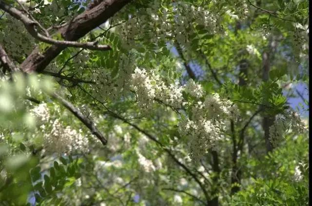 澶╂触婊ㄦ捣娌欓洉娴锋磱涔愬洯,澶╂触娴锋磱涔愬洯娌欓洉