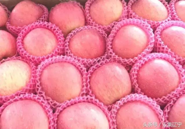 辽宁什么水果有名又好吃,辽宁冬天的应季水果都有什么