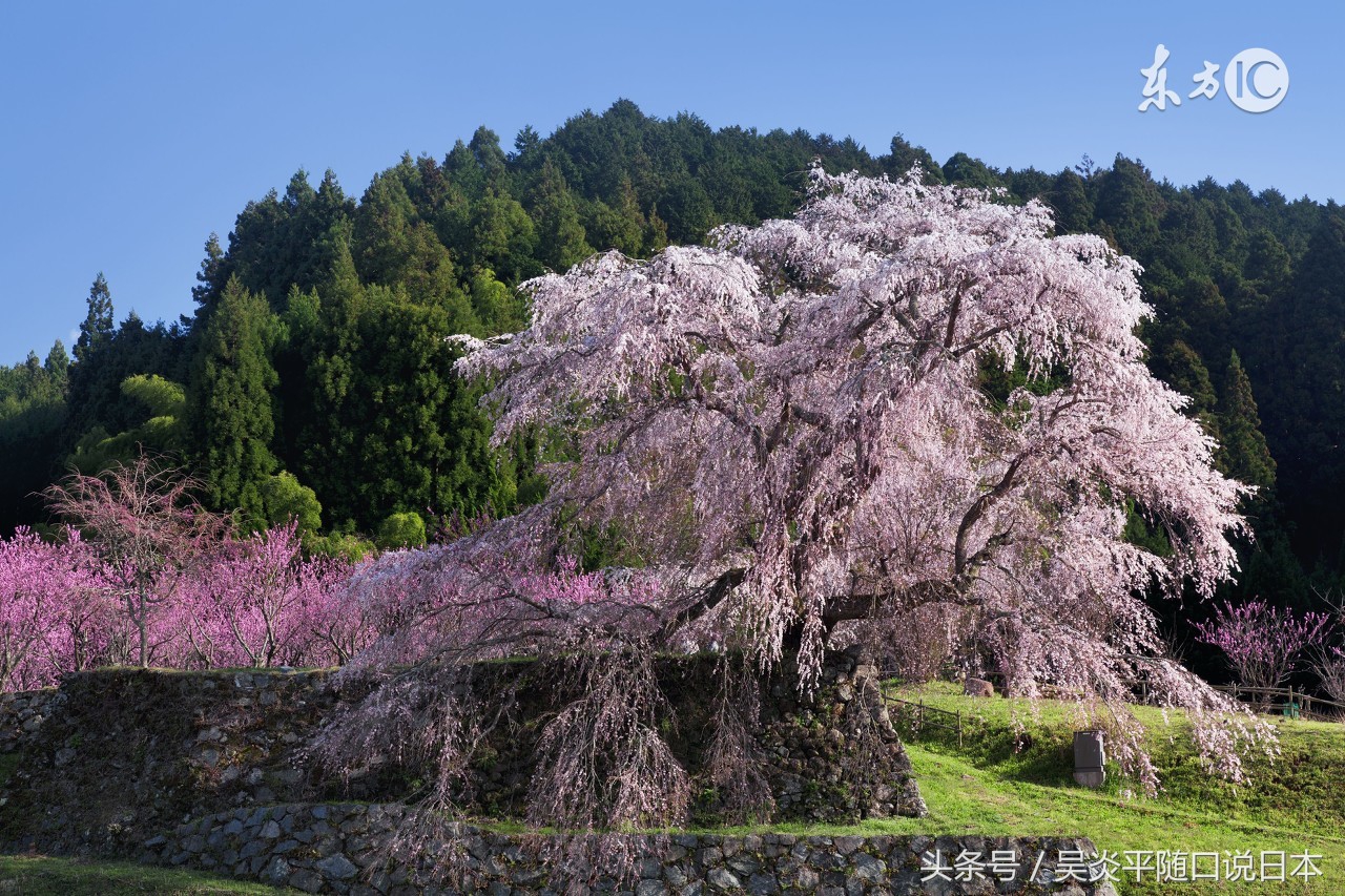 鏃ユ湰鐣欏绛捐瘉鎬庝箞鎹㈡垚宸ヤ綔绛捐瘉,鏃ユ湰浜斿勾绛捐瘉鍟嗗姟绛捐瘉