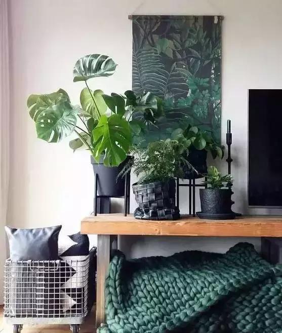 5鏈堜唤鎵︽彃浣曟椂鍙互涓婄泦,澶忓ぉ鎵︽彃鐨勬柟娉曞拰娉ㄦ剰浜嬮」