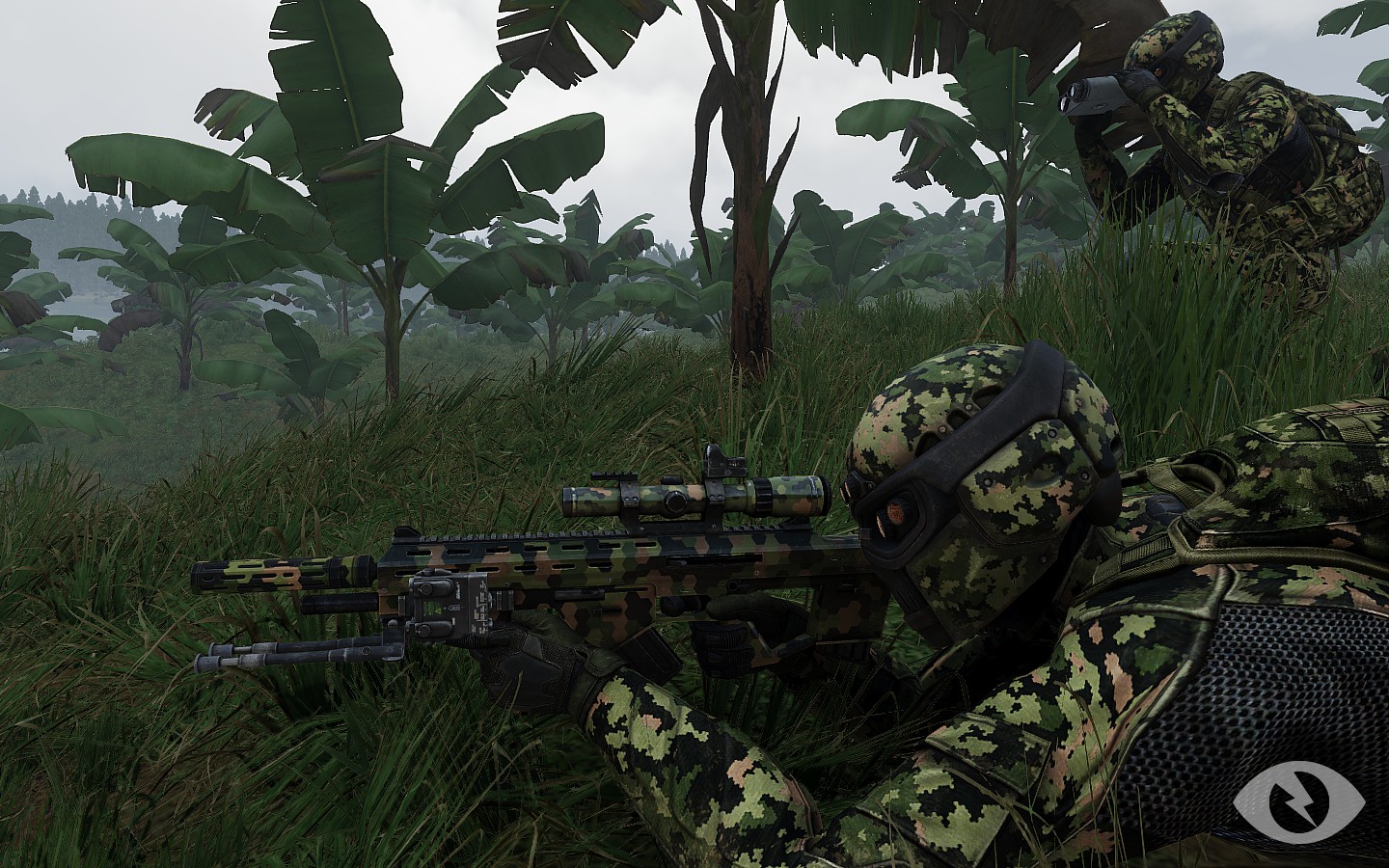 武装突袭真实细节,武装突袭进化史