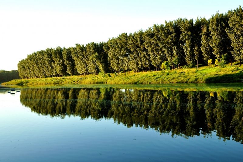北岛说丨日渐消失的河畔生活,城北给你!