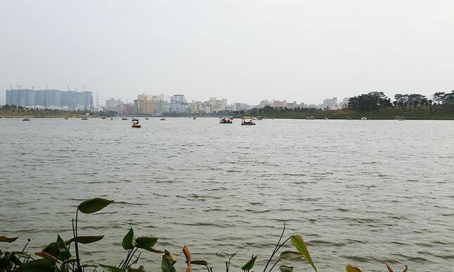 广州石井重大项目,广州石井镇发展