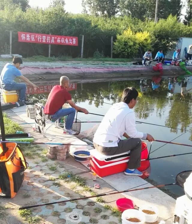 「四十二」老狼谈钓技：黑坑钓鱼，连竿、爆护离不开这几点