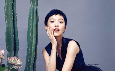 范冰冰短发bobo头亮相,范冰冰短发惊艳韩国