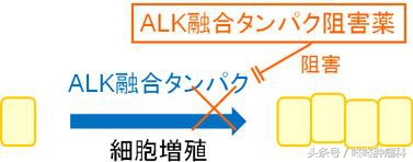 靶向药奥希替尼和伏美替尼哪个好,靶向药阿法替尼的效果