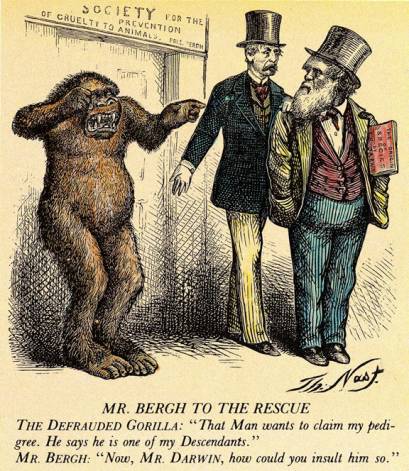 达尔文的进化论最出名的话,为何那么多人怀疑达尔文的进化论