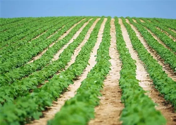 《人民的名义》农机手版:我们的精神一定是要始终健康,不赊账!