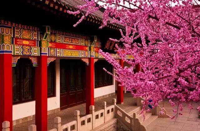 天津值得游玩门票便宜的景点,天津旅游景点门票一览表