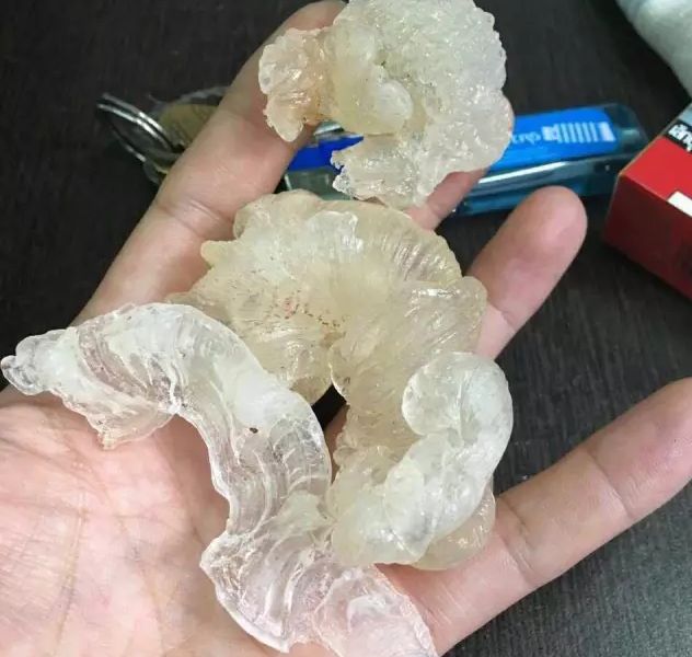 桃胶又叫雪燕吗,雪燕桃胶皂角米价格