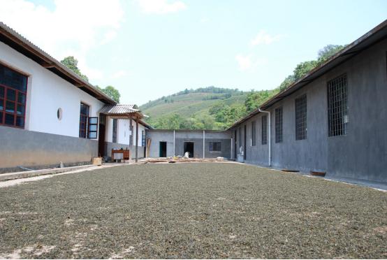 九指茶丐杨志华：做茶背后是战战兢兢做人