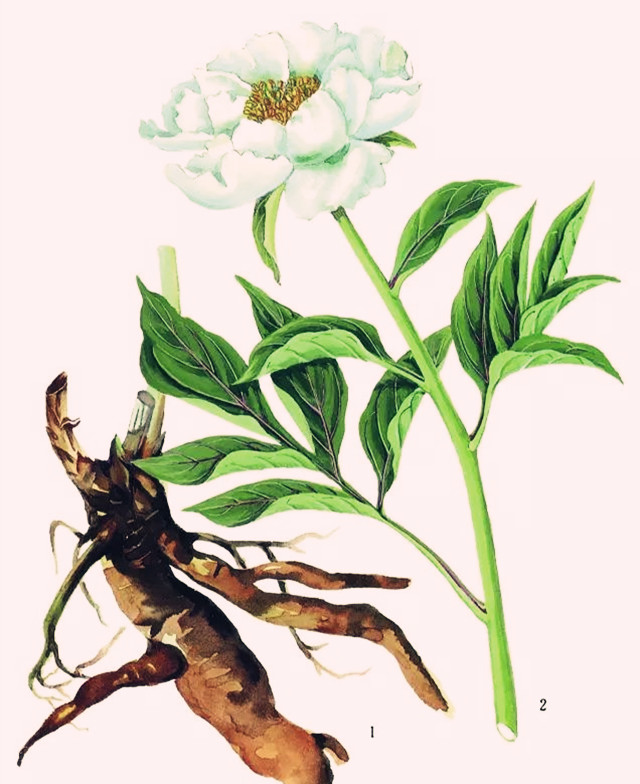 手足热身体却发冷,手足心热跟手足冰凉是一回事吗