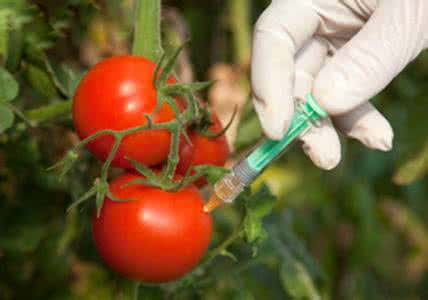 你愿意用激素养殖蔬菜吗？你愿意“学而思”给孩子提分吗？