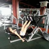 健身房练腿器械使用方法,健身房练肩器械使用大全讲解