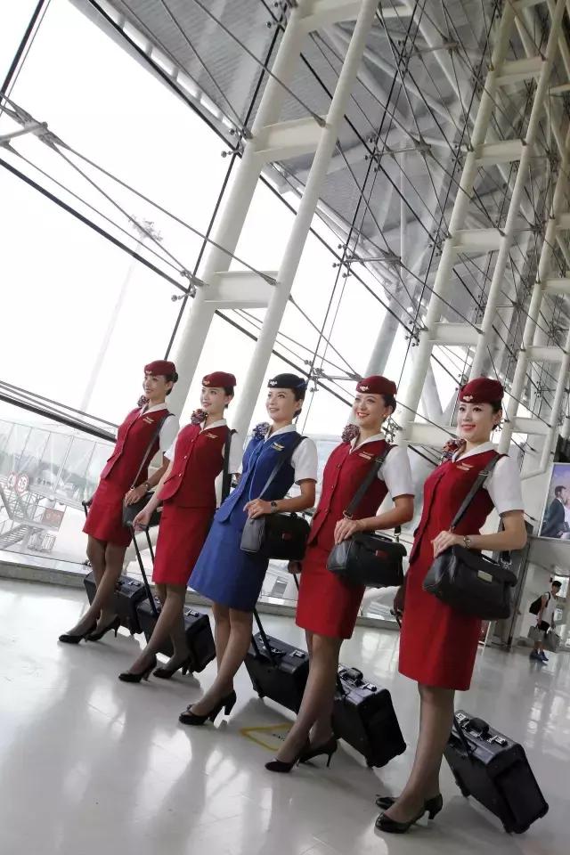 当“鲁雁”遇到“金凤”