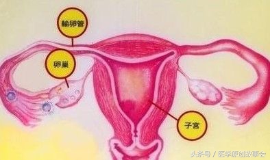 22岁谈了3个男朋友,验尿结果出来后,医生却说要立即手术!