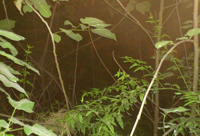 夜钓诡异事件:从五官感受,到心理暗示,是如何把自己吓跑的?