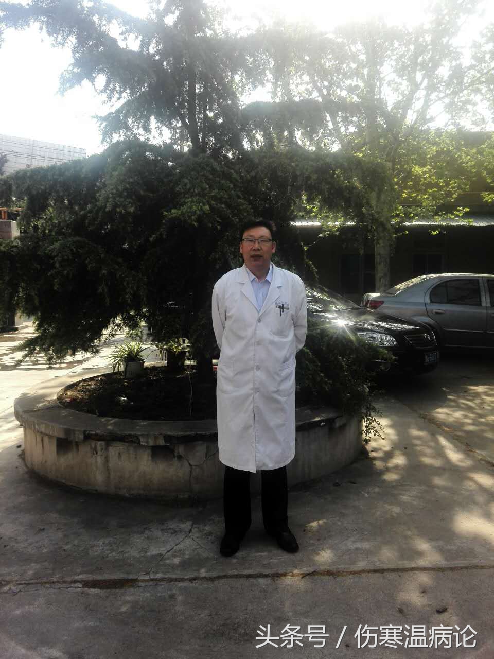 山东济南的道地中药,山东大黄中药材供应