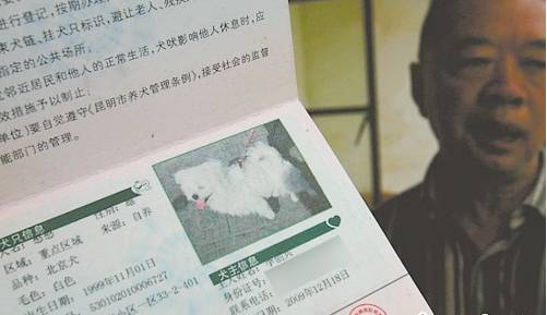 办狗证疑问在线解答,福州狗证办理多长时间能拿到狗证