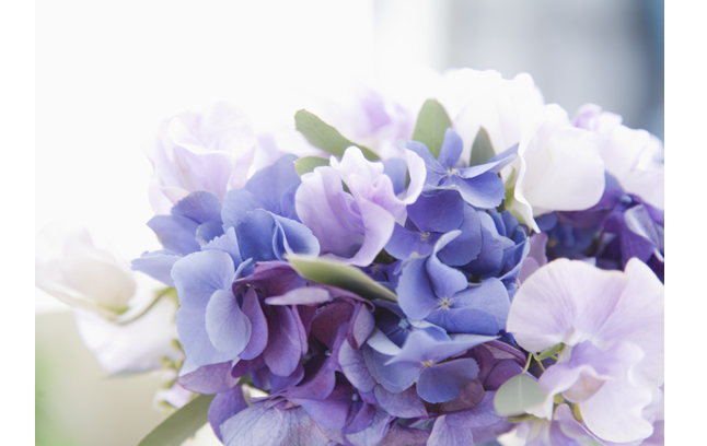 生日花语有哪些,你的生日代表的花语