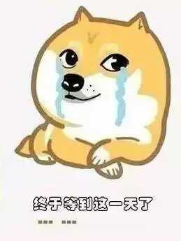 小熊叨叨叨:喜大普奔,组织要帮忙找对象啦!